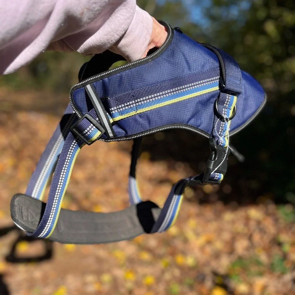 Head brand Blue Dog harness